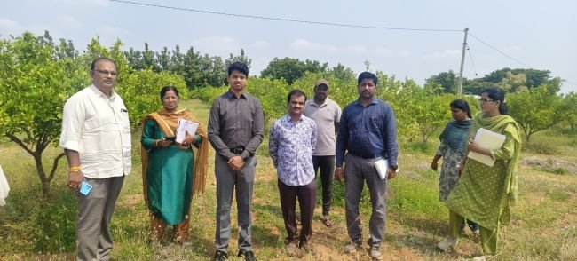 పంటలను పరిశీలించిన జాయింట్ కలెక్టర్ విష్ణుచరణ్