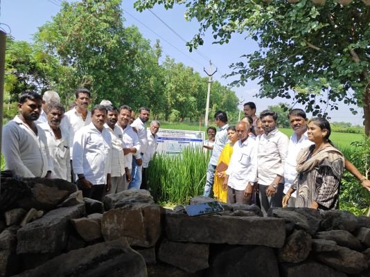 వరి పంటకు సస్యరక్షణే కీలకం 