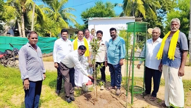 ఇంటి పరిసరాల్లో మొక్కలు పెంచాలి 