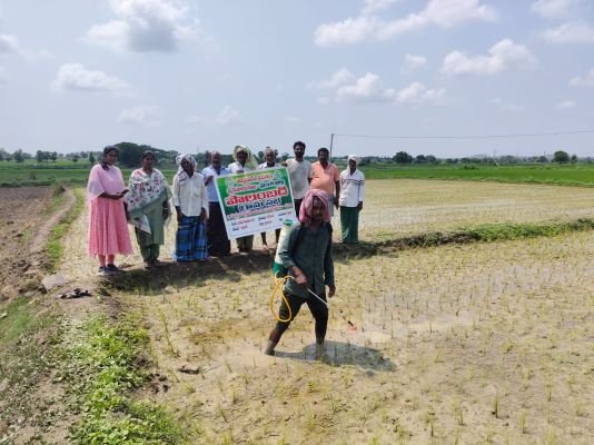 గోవాడ గ్రామంలో పొలం బడి.