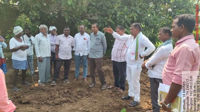 మునగ ప్లాంటేషన్ పనులను పరిశీలించిన జెడ్పీ సీఈఓ