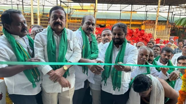 టమోటా మార్కెట్ అభివృద్ధిలో కీలక సంస్కరణలు 