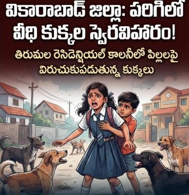 పరిగిలో వీధి కుక్కల బీభత్సం.. బెంబేలెత్తుతున్న కాలనీవాసులు..!