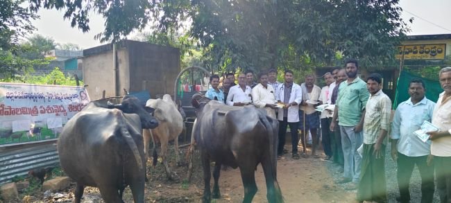 ఉచిత పశు సంతానోత్పత్తి వైద్య శిబిరం.. 