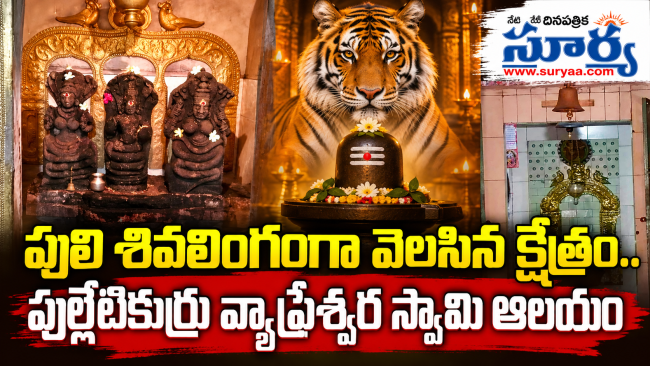 పులి శివలింగంగా వెలసిన క్షేత్రం.. పుల్లేటికుర్రు వ్యాఘ్రేశ్వర స్వామి ఆలయం