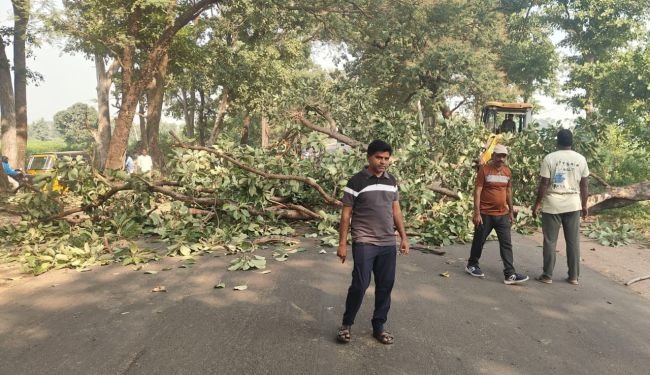 వేలాడుతున్న చెట్టు కొమ్మ తొలగింపు.. స్పందించిన ఉట్నూర్ సర్పంచ్