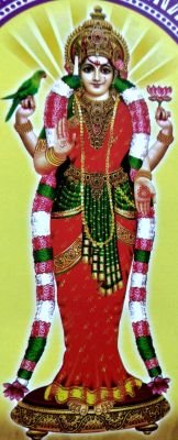 11వ తేదీ నుండి దేవి శరన్నవరాత్రి మహోత్సవాలు ప్రారంభం:తూనుగుంట్ల
