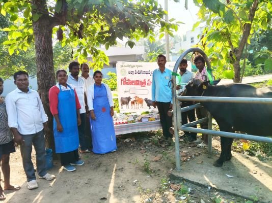 సీతానగరం లో పశువైద్య శిబిరం