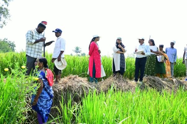 పొరపాట్లకు తావు లేకుండా పగడ్బందీగా భూ సర్వే  కలెక్టర్ ప్రతిమాసింగ్