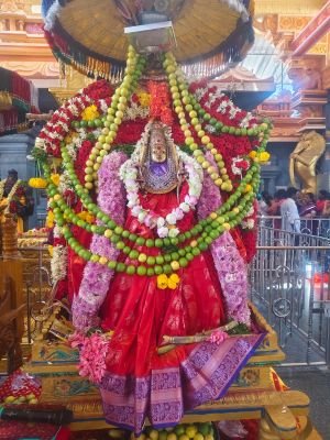 శ్రీ రాజరాజేశ్వరి ఆలయంలో రాహుకాల పూజలు
