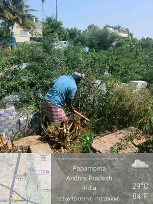 పెద్దల పండుగకు హిందూ స్మశాన వాటికలో ప్రత్యేక శుభ్రత  25 మంది సిబ్బందితో మూడు రోజులుగా పారిశుద్ధ్య పనులు