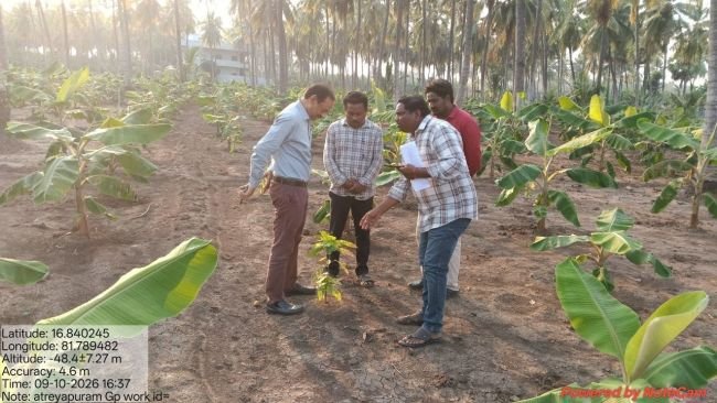 కోకో మొక్కల ఎదుగుదలపై అవగాహన