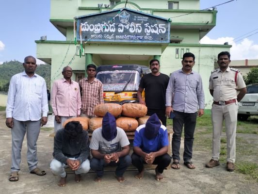 38 కేజీల గంజాయి పట్టివేత  ముగ్గురి అరెస్టు