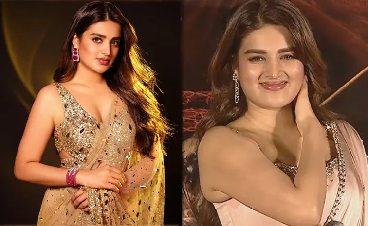 తెలుగబ్బాయిని పెళ్లి చేసుకుంటానా? స్పందించిన ది రాజాసాబ్ హీరోయిన్ నిధి అగర్వాల్