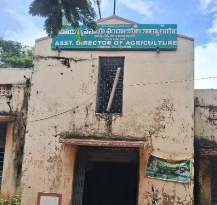 కొడంగల్‌లో వ్యవసాయ శాఖ పోస్టుల భర్తీ