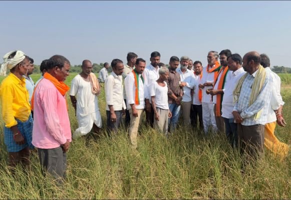 విద్యుత్ కోతలతో ఎండుతున్న పంటలు..
