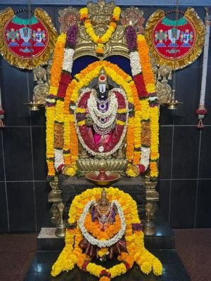 విశేష అలంకరణలో శ్రీనివాసుడు 