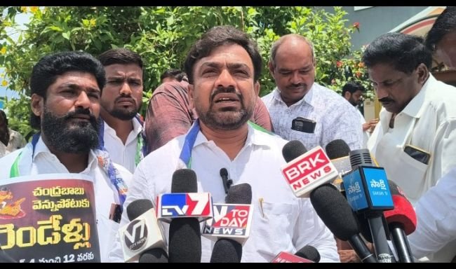 12,13 తేదీలలోమున్సిపాలిటి వార్డులలోసమావేశాలు నిర్వహించనున్న పెద్దిరెడ్డి