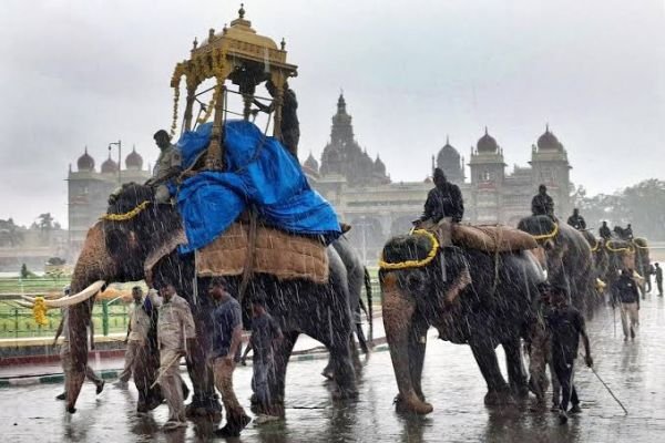  మైసూర్ దసరా 2026: బంగారు అంబారీ రేసు నుంచి మహేంద్ర తాత్కాలికంగా అవుట్..