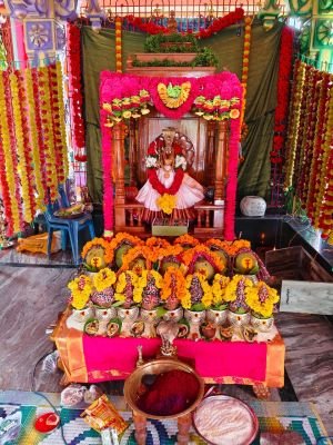 కోరిన కోర్కెలు తీర్చే కల్పవల్లి మానసా దేవి!