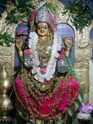 శ్రీ గాయత్రీ దేవి అవతారంలో పోలమాంబ దర్శనం..  పసుపు కొమ్ములతో పోలమాంబను అలంకరణ