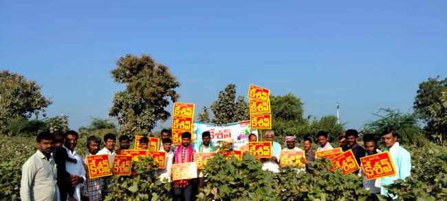 వసంత్ సీడ్స్ వారి ఆధ్వర్యంలో కేశవ్ పత్తి క్షేత్ర ప్రదర్శన