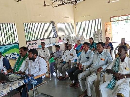 రబిలో ఆరుతడి పంటలే మేలు!