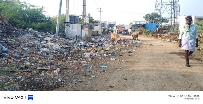 వెల్దుర్తి మండలంలో అస్తవ్యస్తంగా పారిశుధ్యం.. పట్టించుకోని అధికారులు