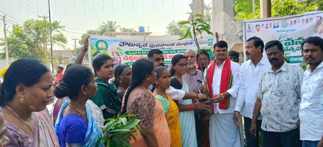  ఐదో వార్డులో స్వచ్ఛతకు ప్రాధాన్యం