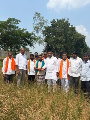 ఎండిపోయిన వరి పంటను పరిశీలించిన భాజపా నాయకులు