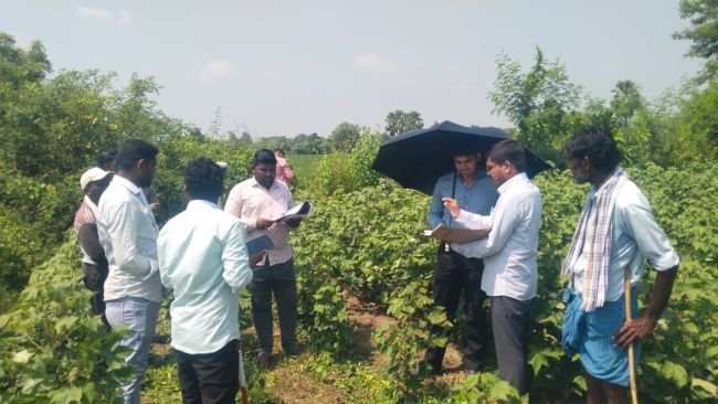గుంట్లపేట్‌లో భూ రీ-సర్వే పరిశీలించిన సబ్‌ కలెక్టర్