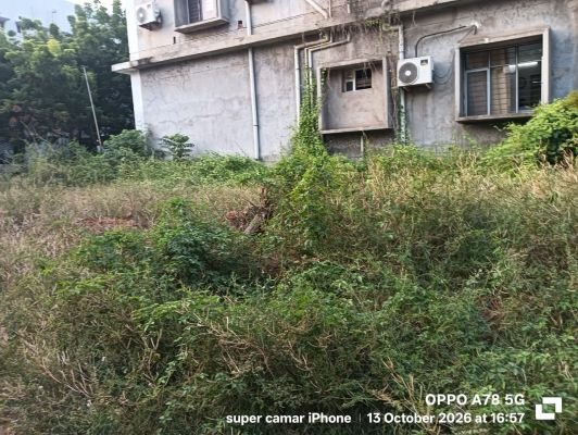 అపరిశుభ్రంగా కార్యాలయ ప్రాంగణాలు 