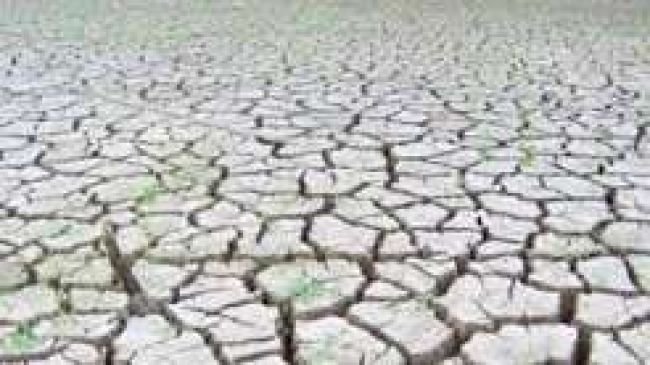 భూగర్భ జలాలు పడిపోవడంతో లాతూర్‌లో నీరు, పశుగ్రాసం ప్రణాళికలు సిద్ధం చేసిన యంత్రాంగం!