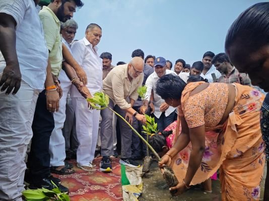 *మడ అడవుల పరిరక్షణ ప్రతి ఒక్కరి బాధ్యత  ఏపీ గ్రీన్ బోర్డు చైర్మన్ కొణిదెల నాగబాబు**  -సంగమేశ్వరం తీరంలో మడ మొక్కలు నాటిన నాగబాబు, బుద్ధప్రసాద్