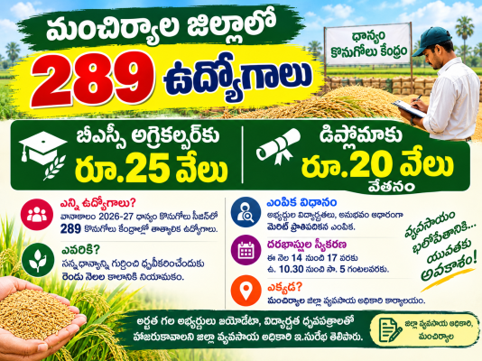 మంచిర్యాల జిల్లాలో 289 ఉద్యోగాలు