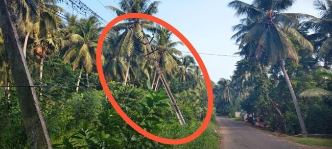  మాచవరంలో ప్రమాదకరంగా ఒరిగిన విద్యుత్ స్తంభం: భయాందోళనలో గ్రామస్తులు, తక్షణమే తొలగించాలని విజ్ఞప్తి!