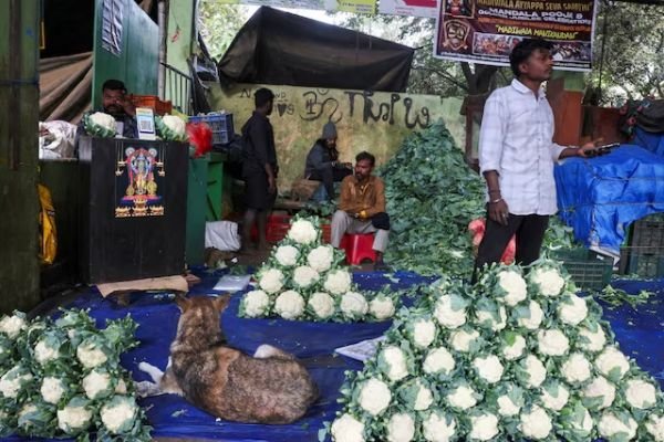 సెప్టెంబర్‌లో 11.39 శాతానికి ఎగబాకిన భారత హోల్‌సేల్ ధరల సూచీ ద్రవ్యోల్బణం