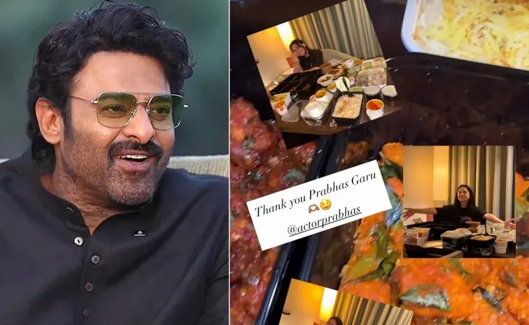 పాన్ ఇండియా స్టార్ ప్రభాస్ విందూ ఆతిథ్యం.. ఫౌజీ హీరోయిన్ ఇమాన్వి బర్త్‌డేకి అదిరిపోయే సర్ప్‌రైజ్!