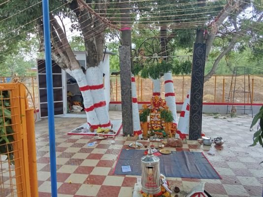 "మొలక పోలేరమ్మ"కు ప్రత్యేక పూజలు