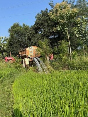 ట్యాంకర్ల నీటితో వరి పంటను కాపాడుకుంటున్న రైతు 