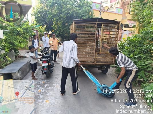 వీధి కుక్కల నియంత్రణకు మున్సిపాలిటీ ప్రత్యేక చర్యలు