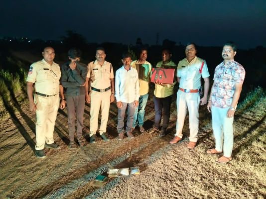 పెద్దకల్వల శివారులో గంజాయి పట్టివేత..