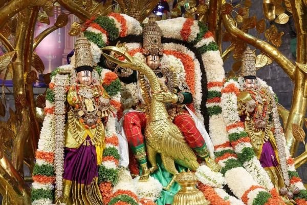 కల్పవృక్ష వాహనంపై బకాసుర వధ అలంకారంలో దర్శనమిచ్చిన మలయప్ప స్వామి