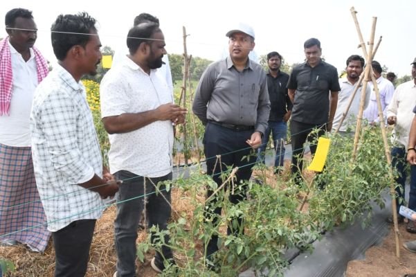 పువ్వుల సాగుతో రైతుల జీవితాల్లో ఆర్థికభివృద్ధి 