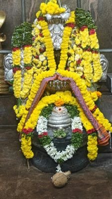 గాయత్రీదేవి అలంకారంతో అన్నపూర్ణా దేవి 