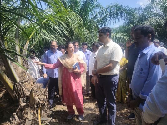 ప్రత్యామ్నాయ పంటల సాగుతో రైతులకు అధిక ఆదాయం - జిల్లా కలెక్టర్ ఆశిష్ సంగ్వాన్