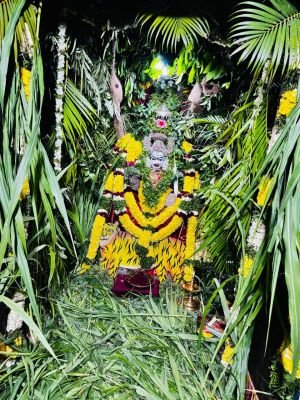 గాయత్రి మహాక్షేత్రంలో వనదుర్గాదేవిగా అమ్మవారి దర్శనం
