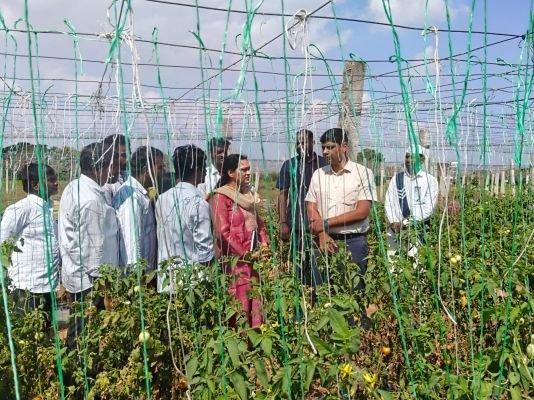 శివాయిపల్లిలో పంటలు, ఓటరు నమోదు పరిశీలించిన కలెక్టర్