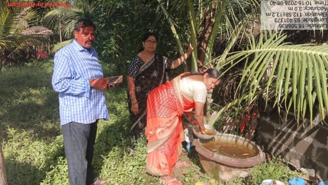 కొబ్బరి మొక్కలకు ద్రవ జీవామృతం