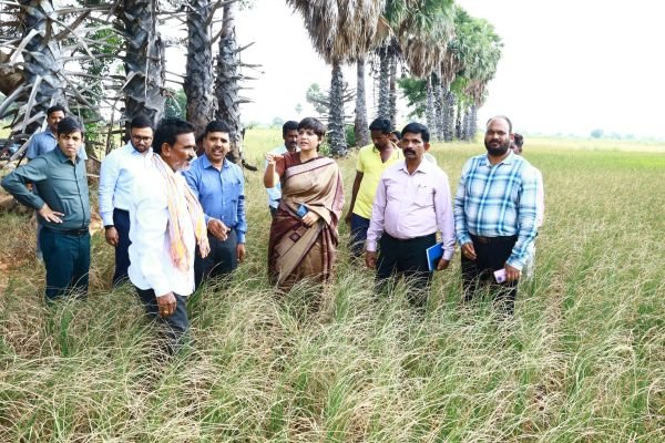 రైతులు యాసంగిలో వరి వేయవద్దు.... ఉమ్మడి నల్గొండ జిల్లా ప్రత్యేక అధికారి దాసరి హరిచందన....